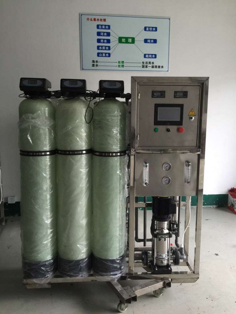 0.5吨反渗透纯水设备(图1)